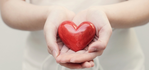 hands holding a heart