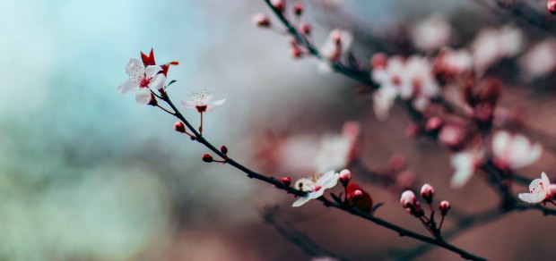 8 ways meditation helps