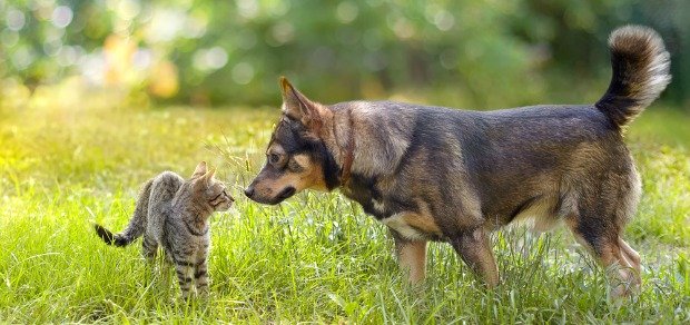 overcoming fear