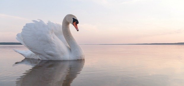 resilience