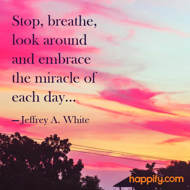 enjoy life quotes