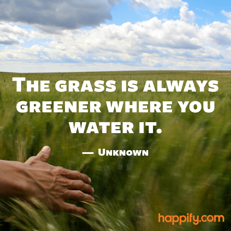 “The grass is always greener where you water it.” - Unknown