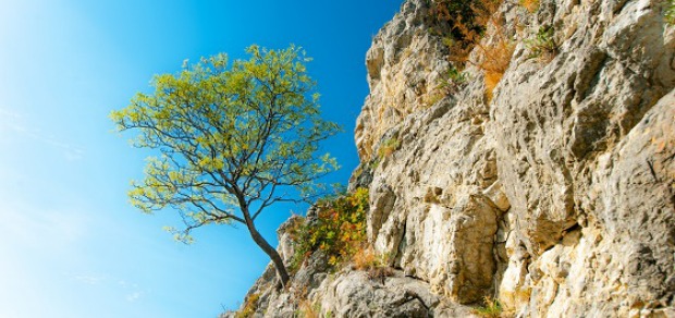 how to be resilient