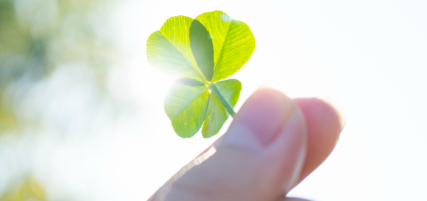 four leaf clover