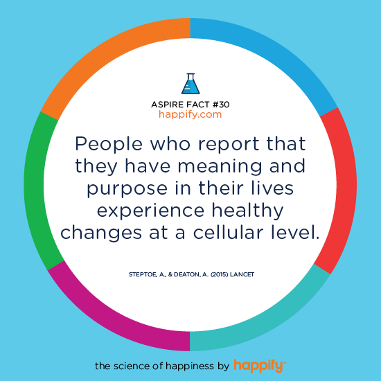 People who report that they have meaning and purpose in their lives experience healthy changes at a cellular level. Steptoe, A., & Deaton, A. (2015) Lancet