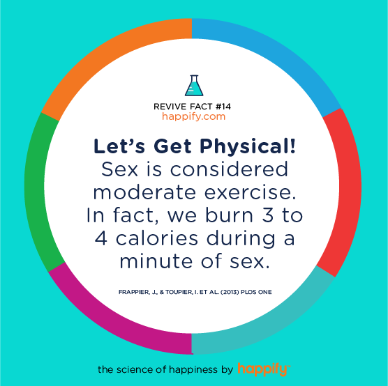Let’s Get Physical! Sex is considered moderate exercise. In fact, we burn 3 to 4 calories during a minute of sex. Frappier, J., & Toupier, I. et al. (2013) PLoS One