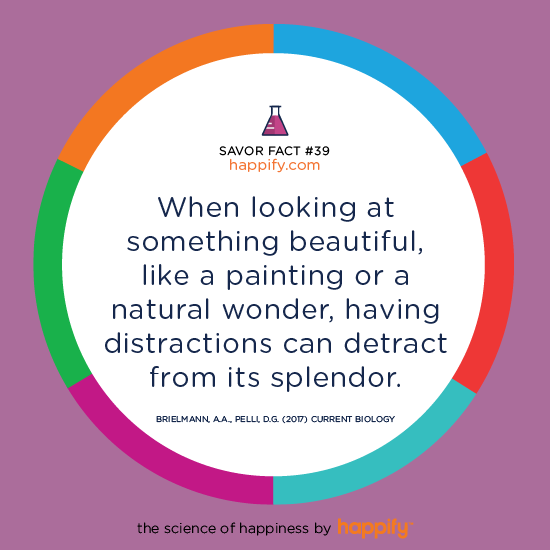 When looking at something beautiful, like a painting or a natural wonder, having distractions can detract from its splendor. Brielmann, A.A., Pelli, D.G. (2017) Current Biology