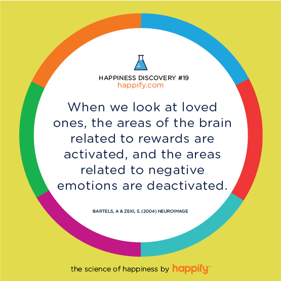 When we look at loved ones, the areas of the brain related to rewards are activated, and the areas related to negative emotions are deactivated. BARTELS, A. & ZEKI, S. (2004) NEUROIMAGE