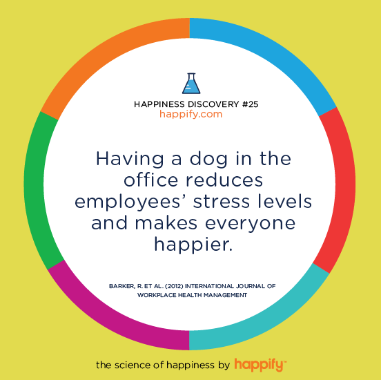 Having a dog in the office reduces employees’ stress levels and makes everyone happier. BARKER, R. ET AL. (2012) INTERNATIONAL JOURNAL OF WORKPLACE HEALTH MANAGEMENT