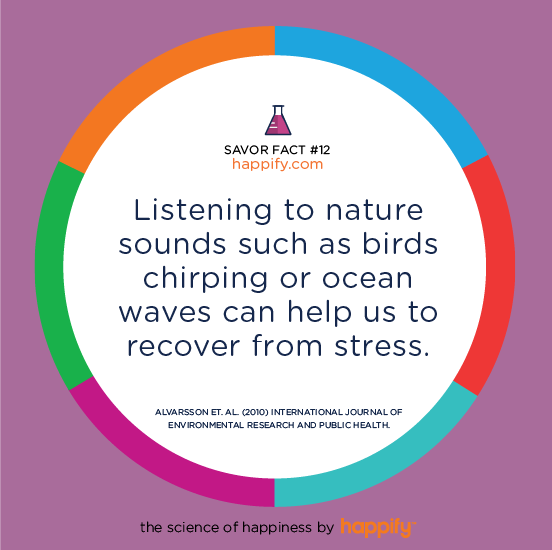 Listening to nature sounds such as birds chirping or ocean waves, can help us to recover from stress. ALVARSSON ET AL. (2010) INTERNATIONAL JOURNAL OF ENVIRONMENTAL RESEARCH AND PUBLIC HEALTH