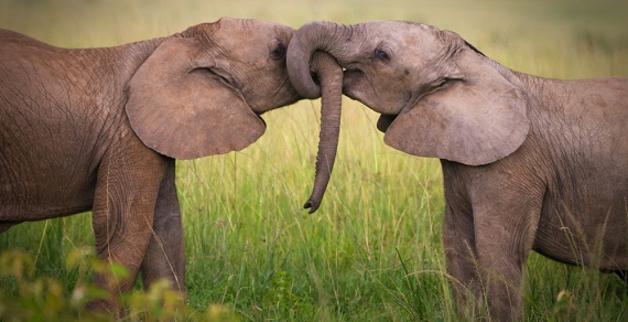 happiness and touch