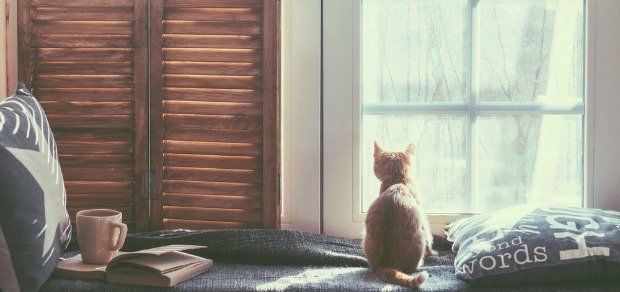 mindfulness